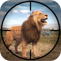 Jungle Hunting