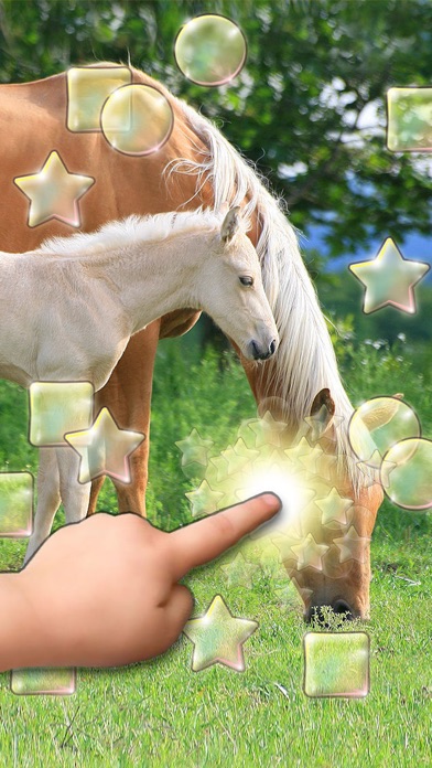 CUTE PETS SLIDESHOW & WALLPAPERS (HD) 1.5.2 IOS GAME GIẢI TRÍ CUTE PETS SLIDESHOW & WALLPAPERS (HD) 1.5.2 IOS