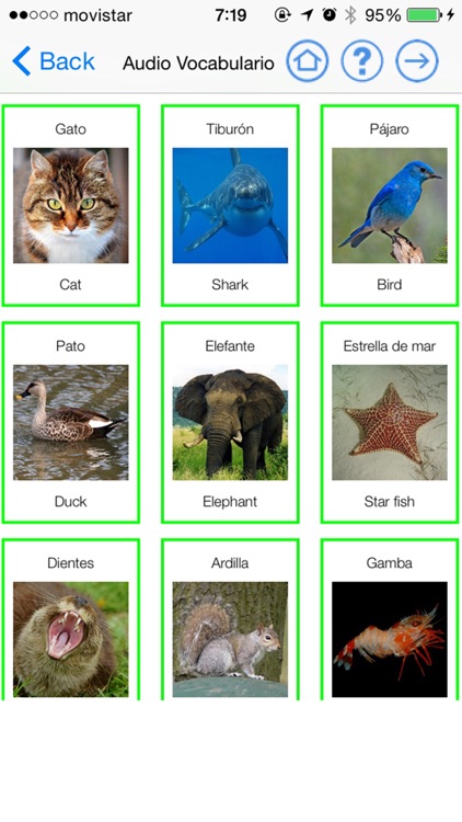 English Segundo de Primaria Level Starters 4 for iPhone