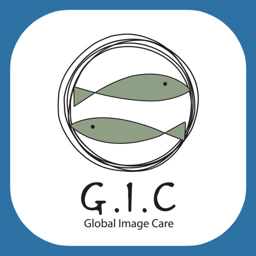 GIC icon