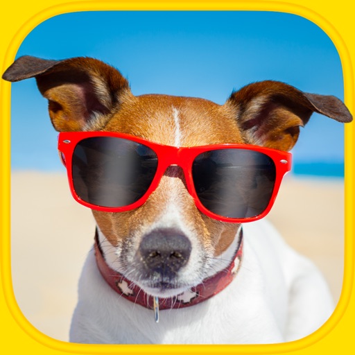 Funny Animals Puzzles - Logic Game for Kids, Free