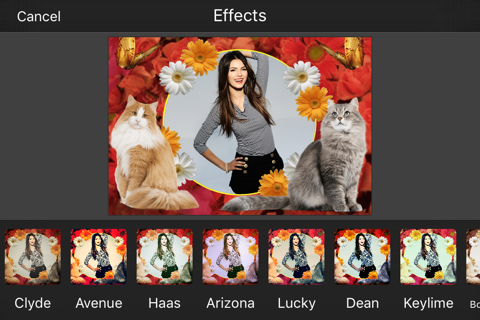 Cat Photo Frames screenshot 3