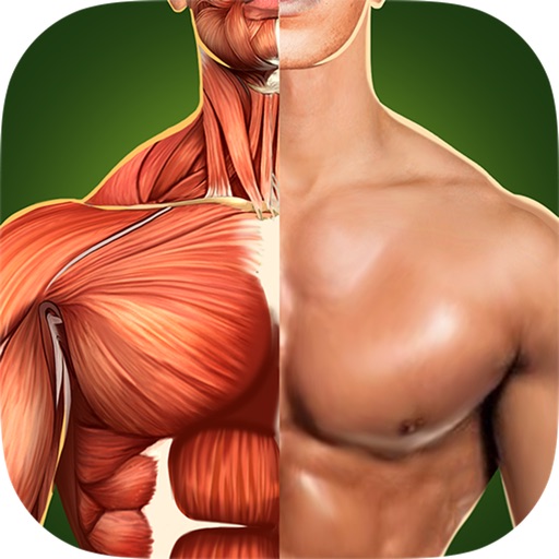 Human Anatomy 3D - Bodybuilding Workout icon