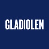 Gladiolen 2017