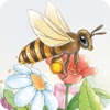采花蜜的小蜜蜂-kimikids奇米双语互动绘本