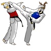 Taekwondo for Beginners-Guide and Video Lessons