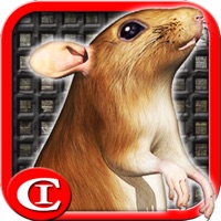 Sewer Rat Run 3D Free apk