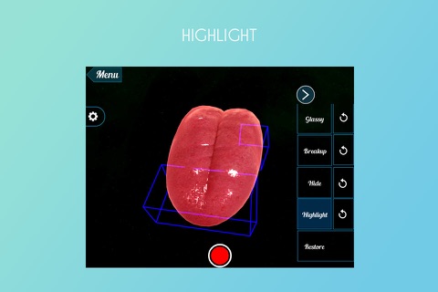 Regions of Tongue 3D screenshot 2