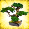 Bonsai Encyclopedia