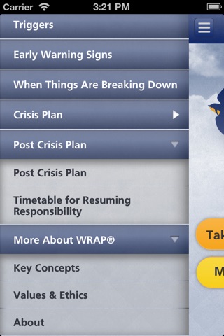 WRAP - Wellness Recovery Action Plan screenshot 2