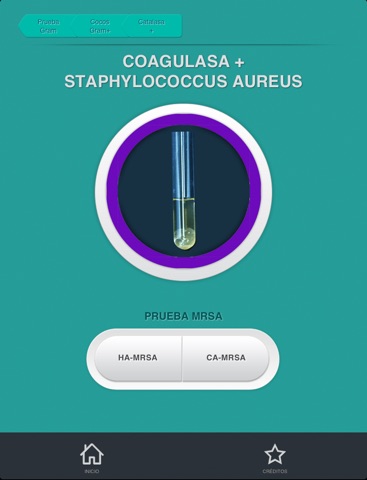 Antibiograma for iPad screenshot 3