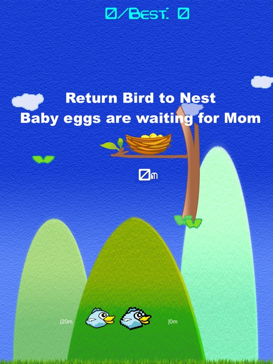 Bird to Nest HD screenshot-3