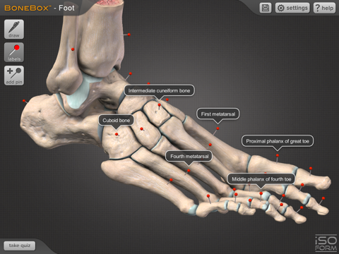 BoneBox Foot screenshot 3