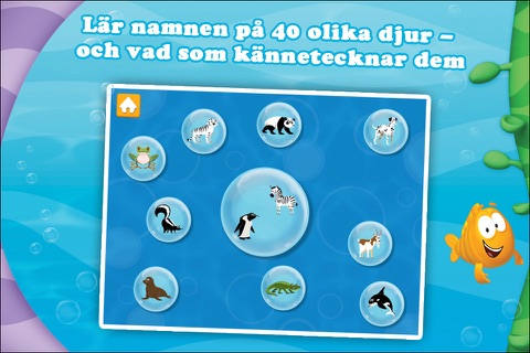 Bubble Guppies - Animal School Day screenshot 4