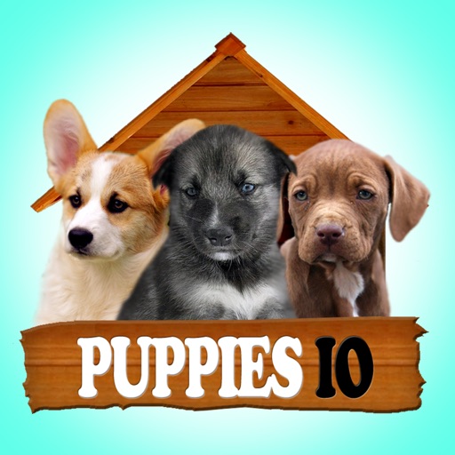 Puppies IO icon