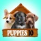 Puppies IO