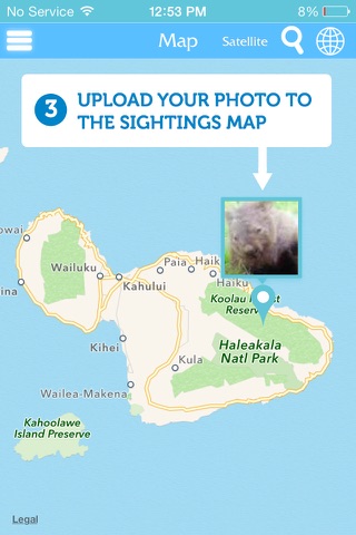 Maui Hawaii Snorkeling Guide screenshot 4