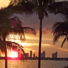 Top 19 Lifestyle Apps Like Miami Nightlife - Best Alternatives