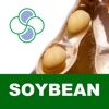 Soybean Stoller