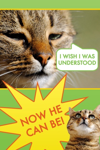 Cat Communicator - Meow Sounds Translator screenshot 3