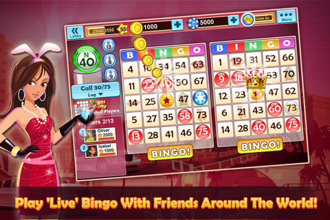 Bingo Party screenshot 2