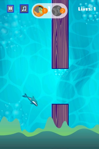 Top Flappy Dolphin And Host Best Multiplayer Game screenshot 3