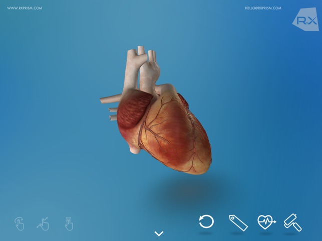 Heart Explore 3D(圖2)-速報App