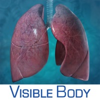 Respiratory Anatomy Atlas: Essential Reference for Students and Healthcare Professionals apk