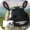 MTV The Valleys - Talking Sheep (AU)