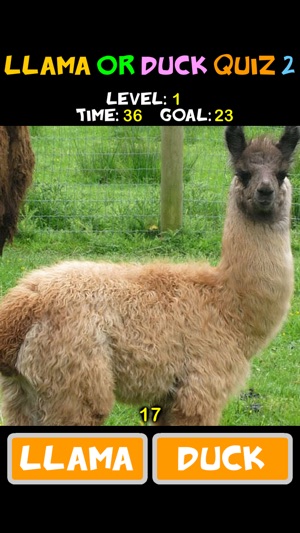 Llama or Duck Quiz 2(圖3)-速報App