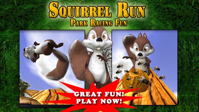 Squirrel Run - Park Racing Fun