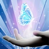 Illusion Hand - IllusionHand , add magic colors to your photos !