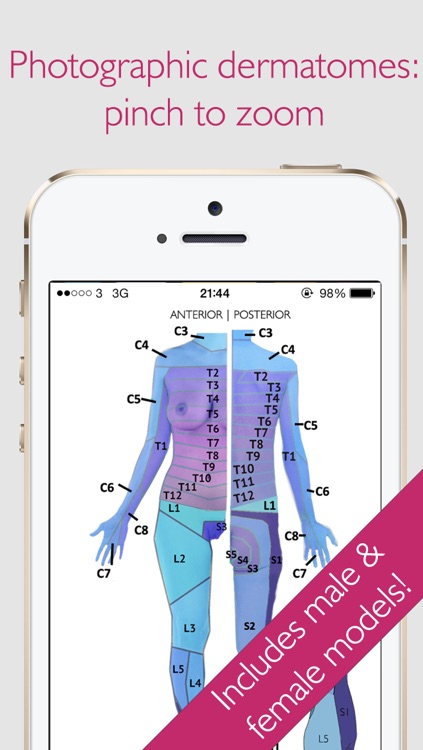 Dermatomes Pro 3D