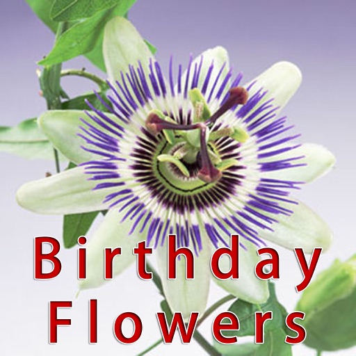 Birthday Flowers eBook