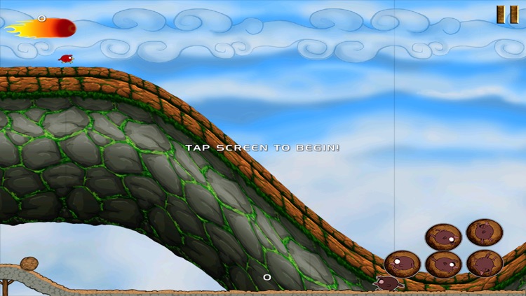 Happy Birds On The Run - Cool Fun Adventure Arcade Game - FREE FOREVER screenshot-3