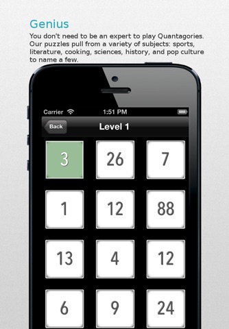 Quantagories: Mental Agility Puzzles screenshot 3