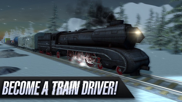 Train Driver 15