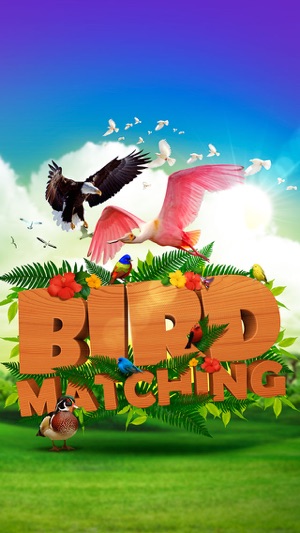 Bird Matching(圖1)-速報App