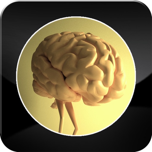 MemoryBall iOS App