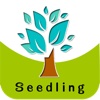 苗木网(Seedlings)