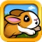 Pet Dash HD - Racing Animals!