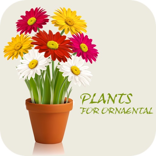 Domestic Floriculture Illustration: Ornamental flowers and plants icon