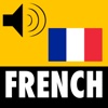 French Now -  Vocabulary Builder Program Plus English Dictionary