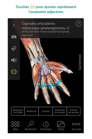 Human Anatomy Atlas – 3D Anatomical Model of the Human Body screenshot 2