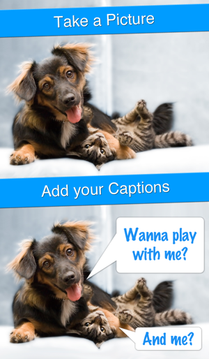 Perfect Captions - Your Life With Subtit