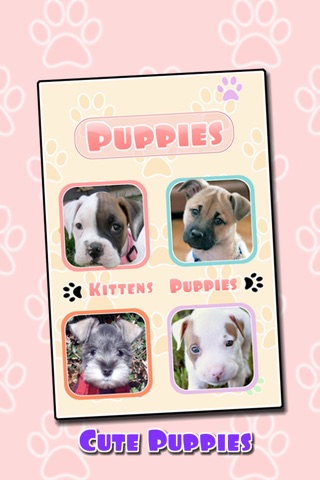 Cute Kitten and Puppy Sounds screenshot 3