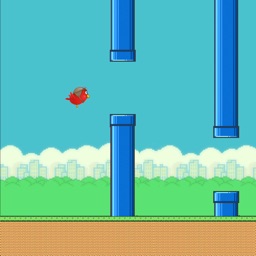 Flap Birdi