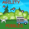 AgilityPebbles