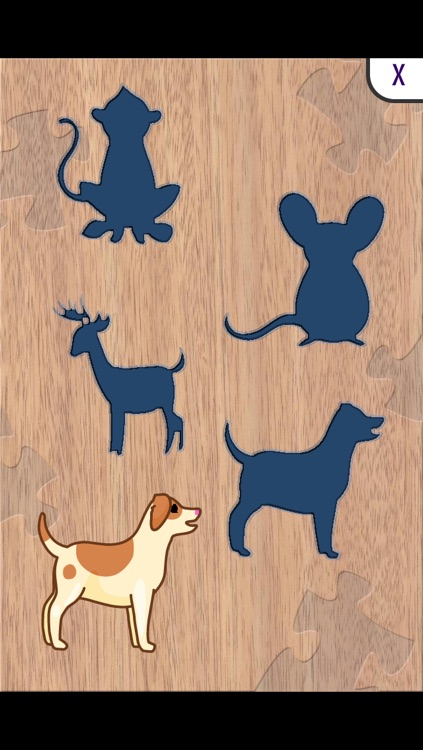 Animals Toddler Preschool