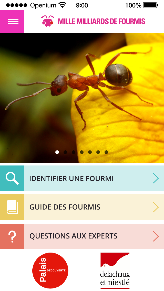 How to cancel & delete Mille milliards de fourmis from iphone & ipad 1